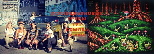 дмт Надым