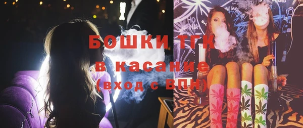 дмт Надым