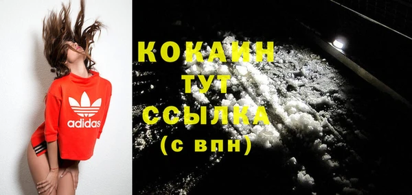дмт Надым