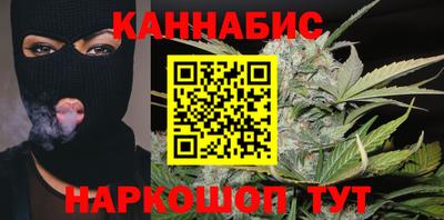 стафф Гатчина