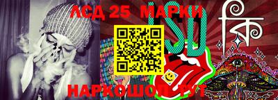 стафф Гатчина