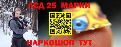стафф Гатчина