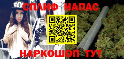 мдпв Гай