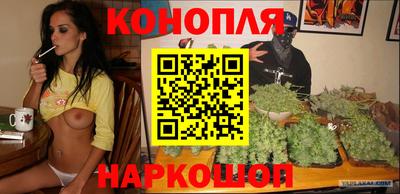 мдпв Гай