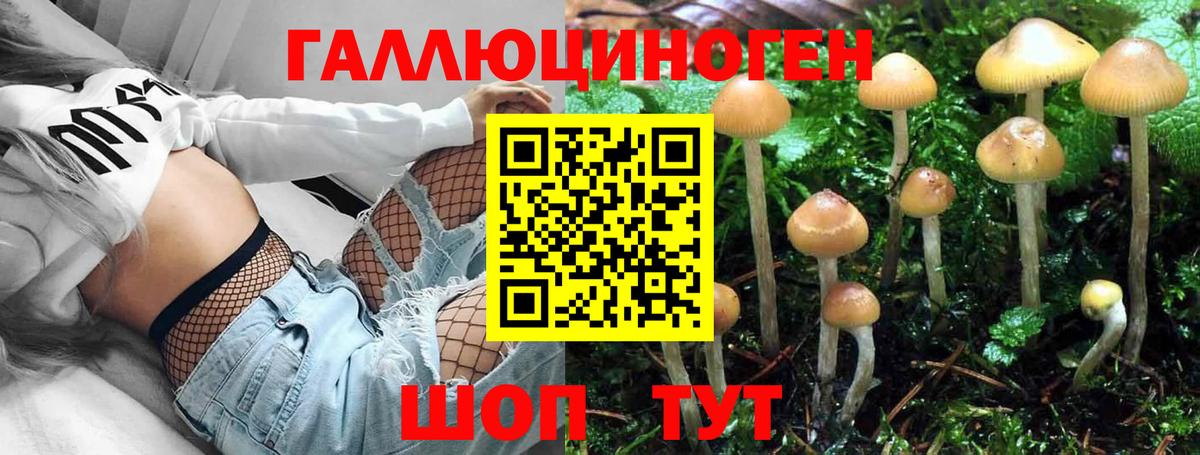 Галлюциногенные грибы мицелий Екатеринбург