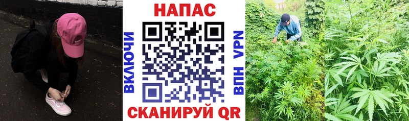 Канабис ГИДРОПОН  Екатеринбург 